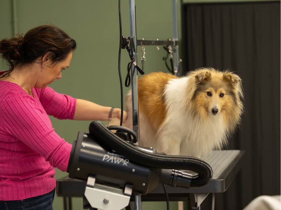 workshop-foto-2_11zon